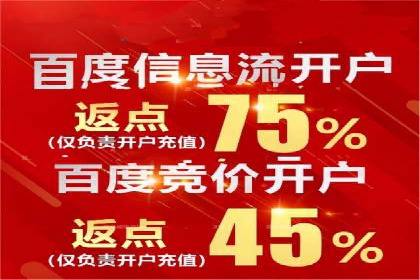 充值高返点案例研究：如何实现最大化收益
